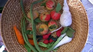 WP_20150123_14_11_50_Pro