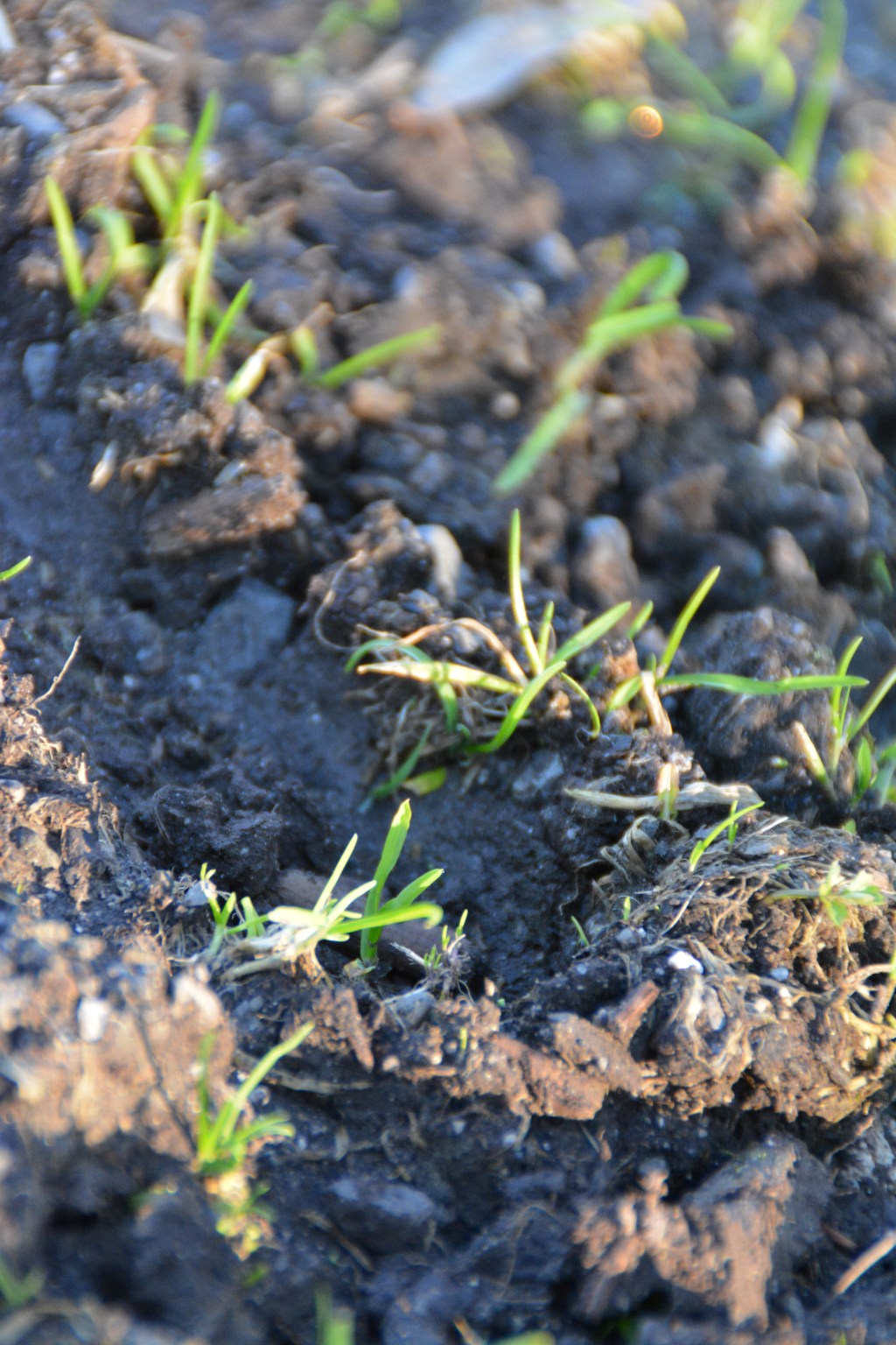 … aus dem&nbsp;Nichts