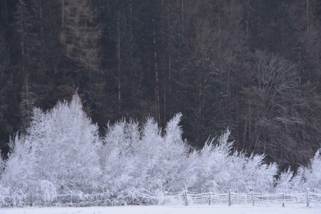 Winter 2015 im Oberen&nbsp;Drautal