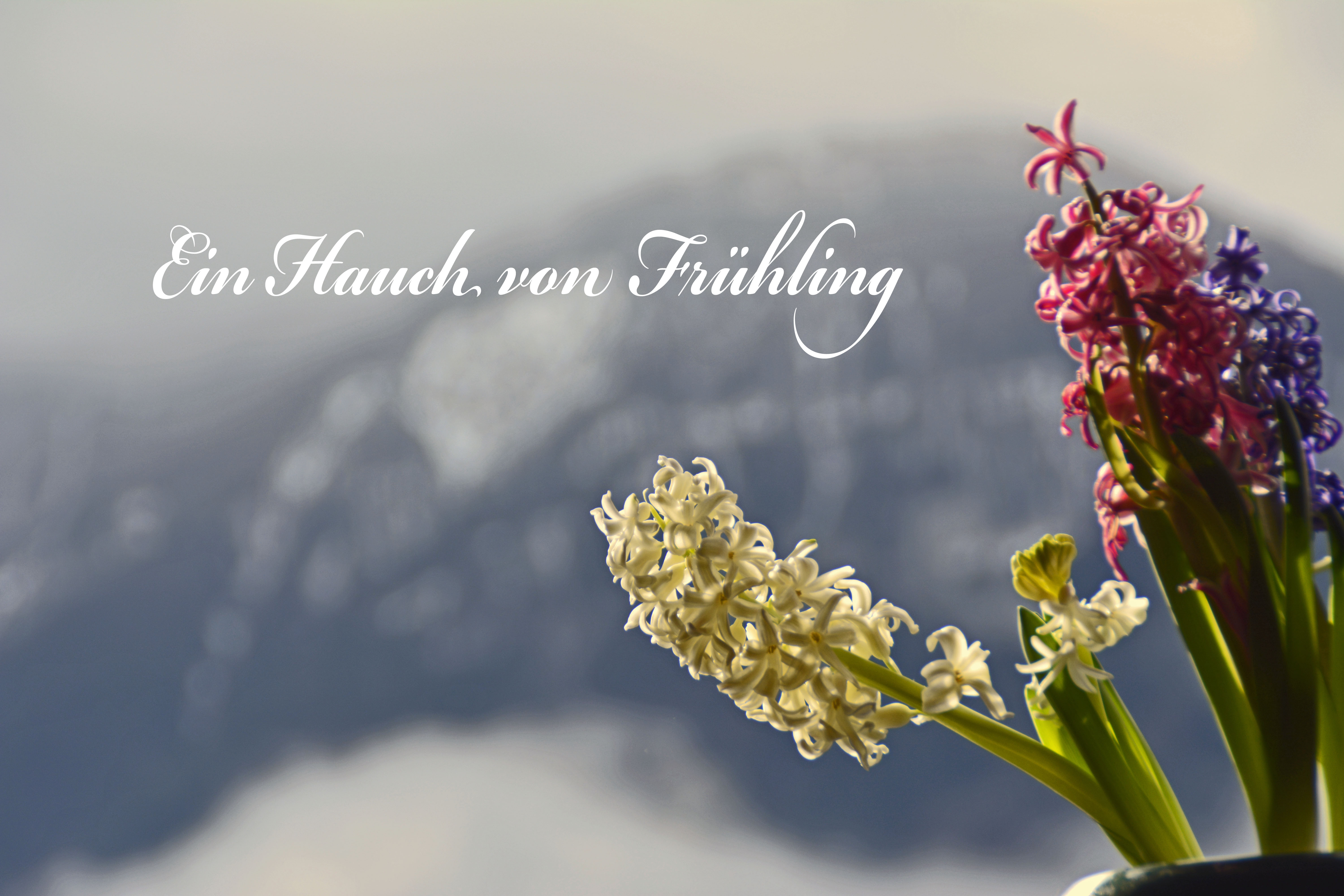 Ein Hauch von Frühling
