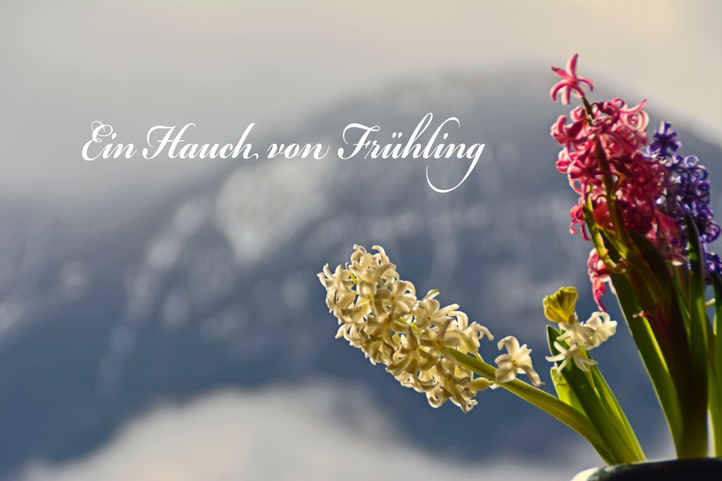 Unbenannter Beitrag 1081