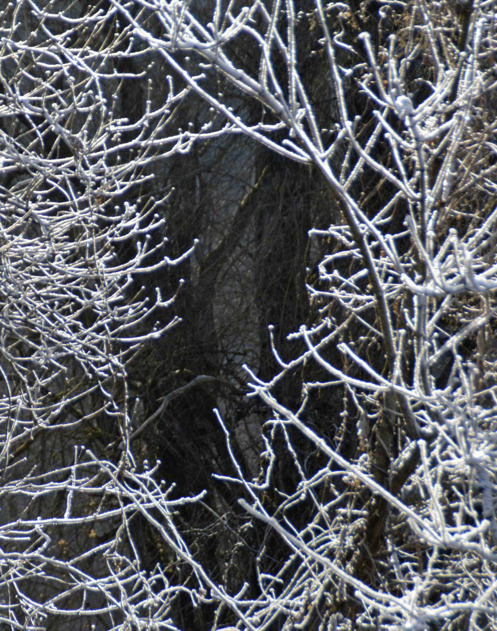 Blick in den&nbsp;Wald