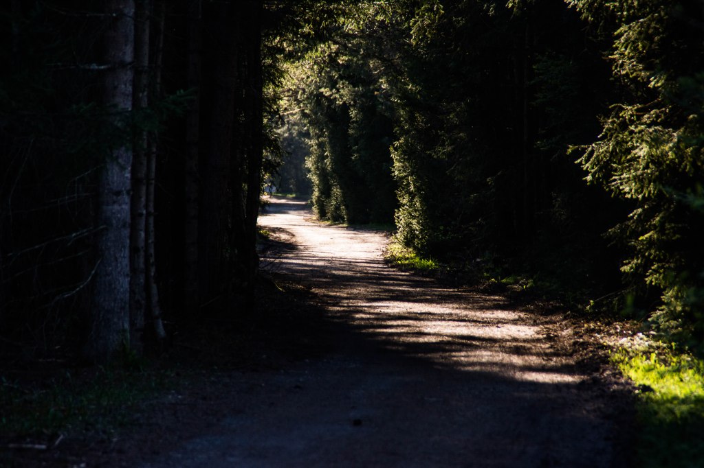 Spaziergang an der&nbsp;Drau