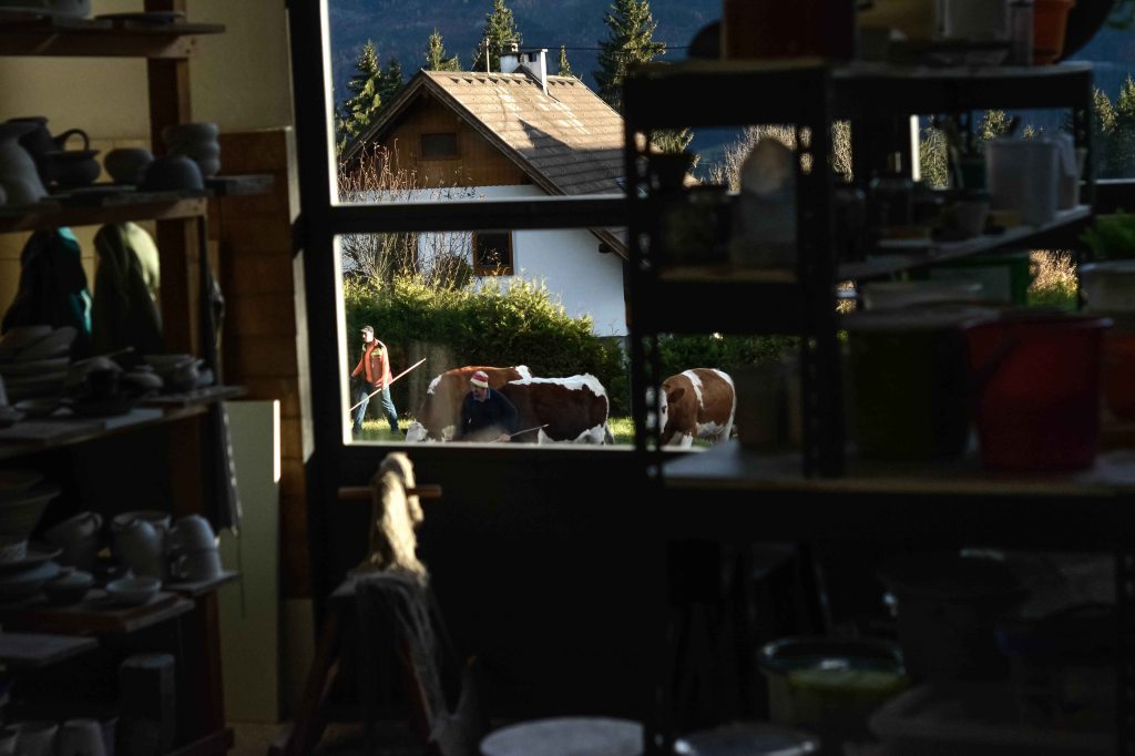 Kuhabtrieb vor der&nbsp;Werkstatt